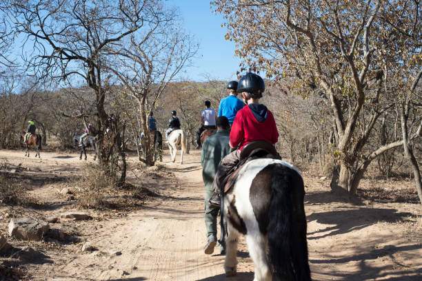 Discover the Magic of African Horseback Safaris Magic of African Horseback Safaris