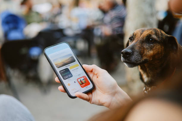 Best Sites to Buy Apple Music Streams That Help You Rank Higher Buy Apple Music Streams